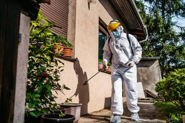 Reliable Sturgis, KY Pest Control Solutions
