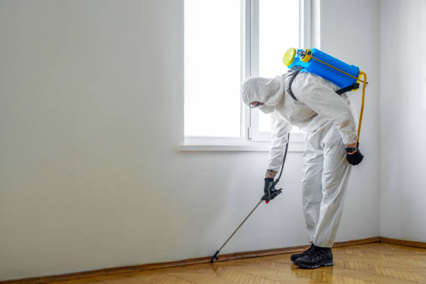 Best Exterminator Services  in Sturgis, KY