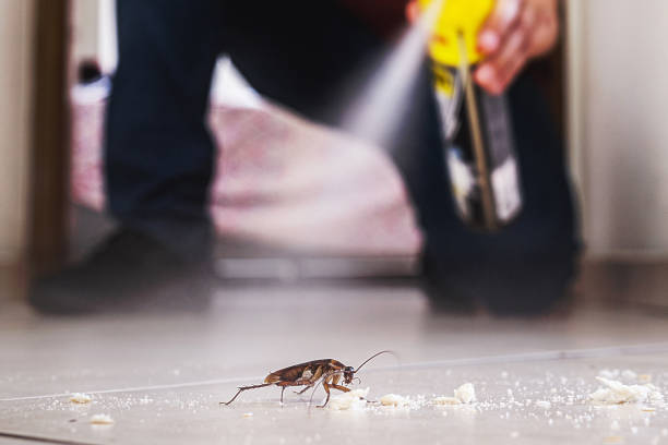 Best Cockroach Control Services  in Sturgis, KY