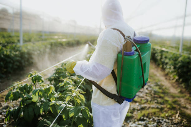 Best Pest Prevention Services  in Sturgis, KY